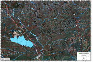 Outdoor_Maps/piedmont001.jpg